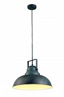 подвесной светильник arte lamp martin a5213sp-1bg в Костроме