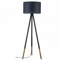 торшер paulmann rurik 79633 в Костроме