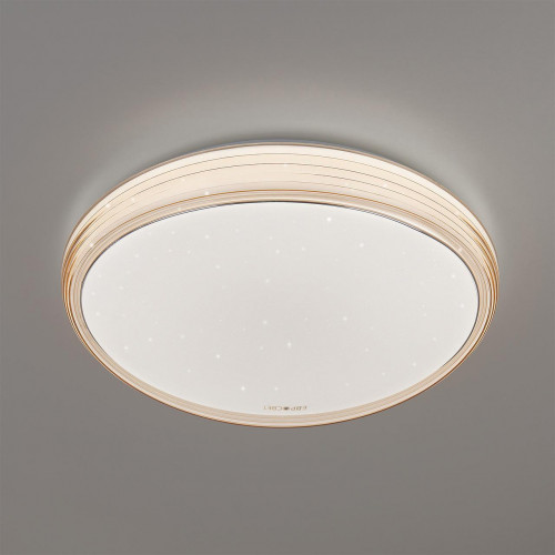 потолочный светодиодный светильник eurosvet universal 40008/1 led кофе в Костроме