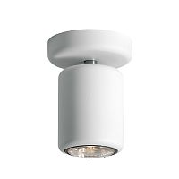 потолочный светильник d84e0501 от fabbian в Костроме