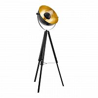 торшер eglo covaleda 49618 в Костроме