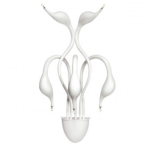 бра lightstar cigno collo wt 751656 в Костроме