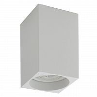 потолочный светильник denkirs dk2009-wh в Костроме