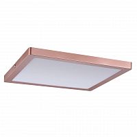 потолочный светодиодный светильник paulmann atria 70873 в Костроме