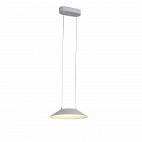подвесной светодиодный светильник st luce pitto sl427.503.01 в Костроме