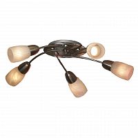 потолочная люстра lussole cevedale grlsq-6907-05 в Костроме