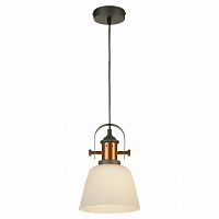 подвесной светильник lussole loft grlsp-9846 в Костроме
