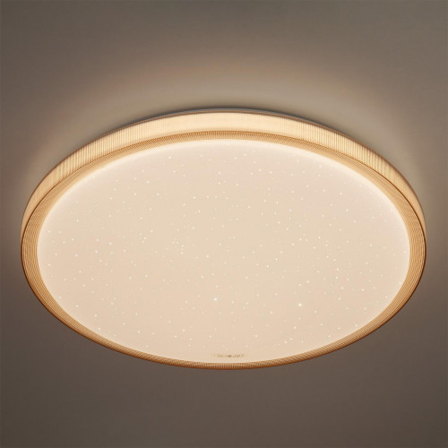 потолочный светодиодный светильник eurosvet sandy 40015/1 led кофе в Костроме