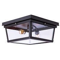 потолочный светильник loft it loft3110-2c в Костроме