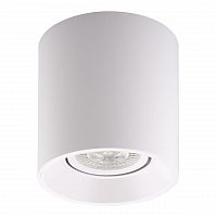 потолочный светильник denkirs dk3040-wh в Костроме