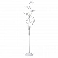 торшер lightstar cigno collo wt 751766 в Костроме