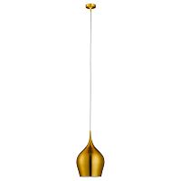 подвесной светильник arte lamp vibrant a6426sp-1go в Костроме