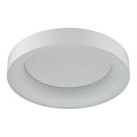 потолочный светодиодный светильник odeon light sole 4062/40cl в Костроме