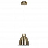 подвесной светильник arte lamp braccio a2054sp-1ab в Костроме