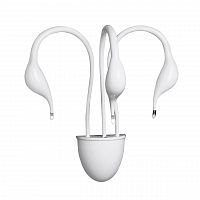 бра lightstar cigno collo wt 751636 в Костроме