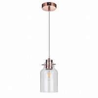 дизайнерский подвесной светильник spot light alessandro 1760113 в Костроме