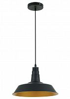 подвесной светильник odeon light kasl 3378/1 в Костроме