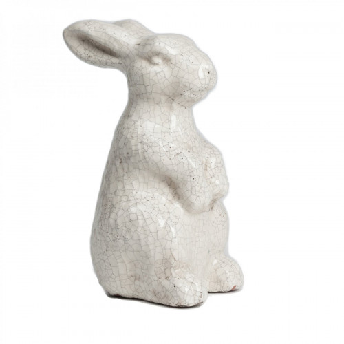 кролик декоративный rabbit в Костроме