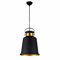 подвесной светильник arti lampadari priamo e 1.3.p1 b в Костроме