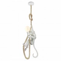 подвесной светильник lussole loft aya grlsp-9993 в Костроме
