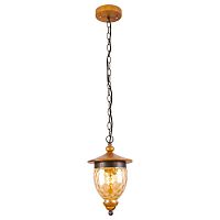 подвесной светильник arte lamp catena a6711sp-1br в Костроме