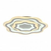 потолочный светодиодный светильник f-promo ledolution 2287-8c в Костроме