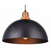 подвесной светильник arte lamp eurica a4249sp-1bk в Костроме