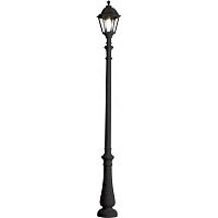 уличный фонарь fumagalli nebo/noemi e35.202.000.axe27 в Костроме
