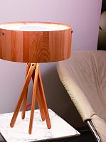 настольная лампа artpole eco 001278 в Костроме
