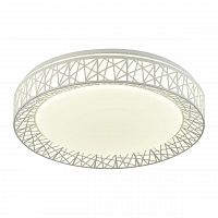потолочный светодиодный светильник f-promo creatura 2314-5c в Костроме
