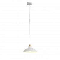 подвесной светильник st luce pietanza sl323.503.01 в Костроме