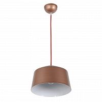 подвесной светильник arti lampadari tempo e 1.3.p1 br в Костроме