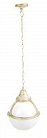 уличный подвесной светильник arte lamp monaco a1495so-1wg в Костроме