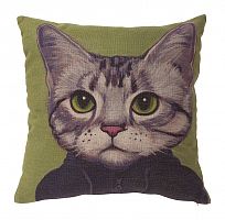 подушка с принтом mr. cat в Костроме