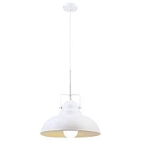 подвесной светильник arte lamp martin a5213sp-1wg в Костроме