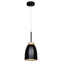 подвесной светильник loft it restor loft4402a-bl в Костроме