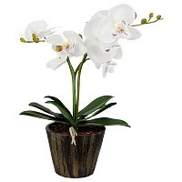 настольная лампа globo flowerpower 28002 в Костроме