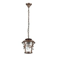 уличный подвесной светильник odeon light aletti 4052/1 в Костроме