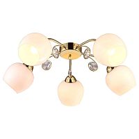потолочная люстра arte lamp millo a9549pl-5go в Костроме