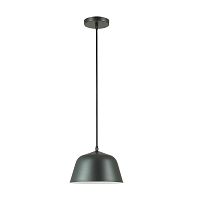 подвесной светильник lumion gwen 3680/1 в Костроме