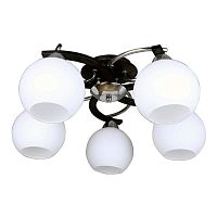 потолочная люстра omnilux caldiero oml-25407-05 в Костроме