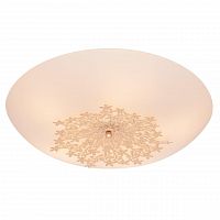 потолочный светильник silver light verbena 835.50.5 в Костроме