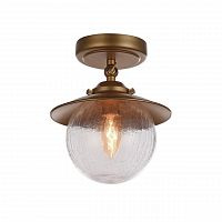 потолочный светильник favourite farola 2027-1u в Костроме
