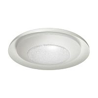 потолочный светодиодный светильник odeon light benso 4623/48cl в Костроме