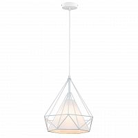 дизайнерский подвесной светильник spot light cage 9502102 в Костроме
