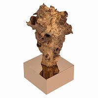 декор burlwood 87 cm в Костроме