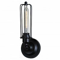 бра st luce filo sld968.401.01 в Костроме