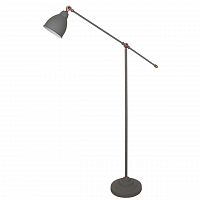 торшер arte lamp braccio a2054pn-1gy в Костроме