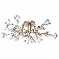 потолочная люстра mw-light адриатика 280011810 в Костроме