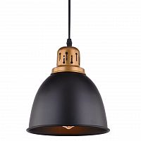 подвесной светильник arte lamp eurica a4245sp-1bk в Костроме